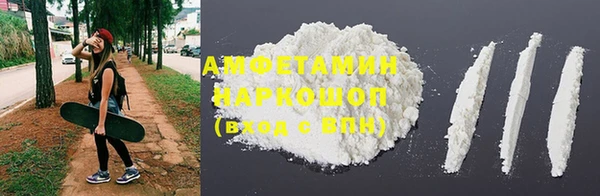 прущие грибы Вязьма