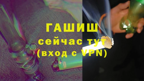прущие грибы Вязьма