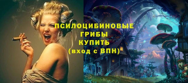 прущие крисы Вяземский
