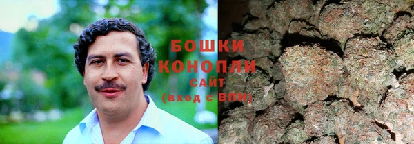 прущие крисы Вяземский