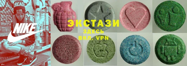 прущие грибы Вязьма