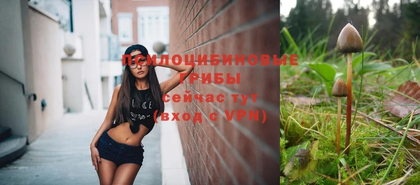 первитин Горнозаводск