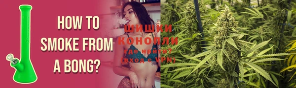 прущие грибы Вязьма