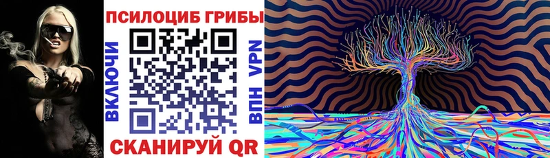 продажа наркотиков  Камышин  Псилоцибиновые грибы Psilocybe 